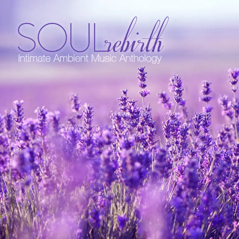 SOUL REBIRTH